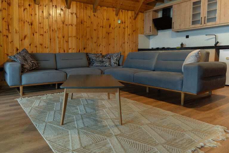 leri-home-wifi-smart-tv-netflix (1)